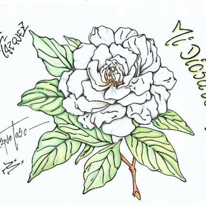 Mi Diosa coronada color 